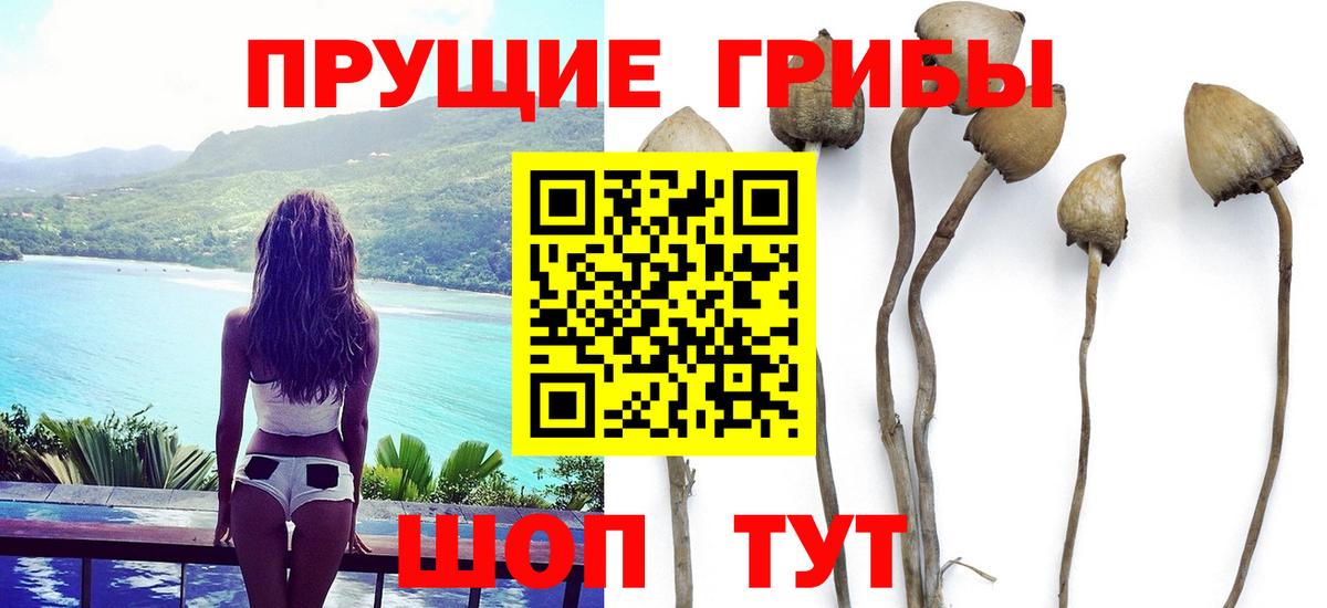 Галлюциногенные грибы Magic Shrooms Октябрьский